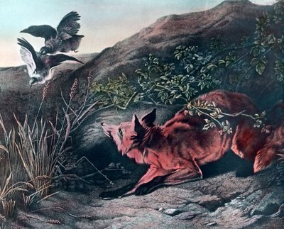 Fox de Unbekannter Künstler