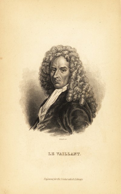 François le Vaillant, autor, explorador, naturalista y ornitólogo francés de Unbekannt