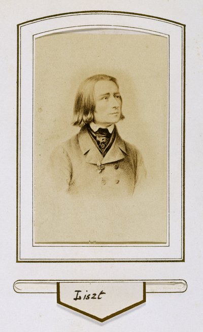 Franz Liszt de joven de Unbekannter Künstler