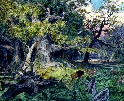 Bosque alemán de Unbekannter Künstler
