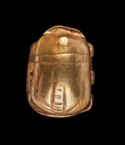 Escarabajo de oro de Unbekannt