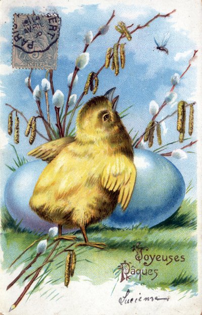 Tarjeta de felicitación de Pascua: un pollito y huevos - Postal fechada en 1906 de Unbekannt