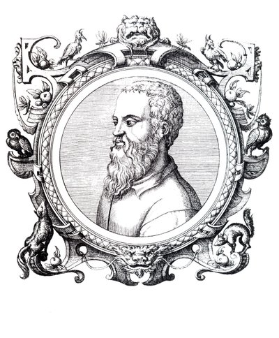 Guillaume Rondelet de Unbekannt