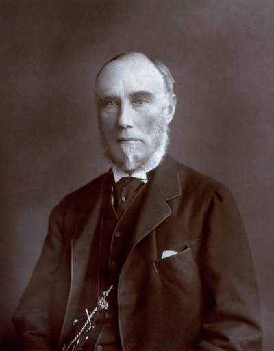 Retrato de medio cuerpo del Virrey de las Indias Thomas Baring Conde de Northbrook de Unbekannter Künstler