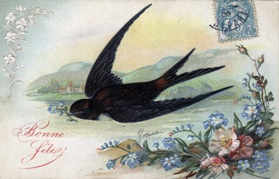 Tarjeta de cumpleaños feliz: Golondrina trayendo una flor - Postal fechada en 1906 de Unbekannt