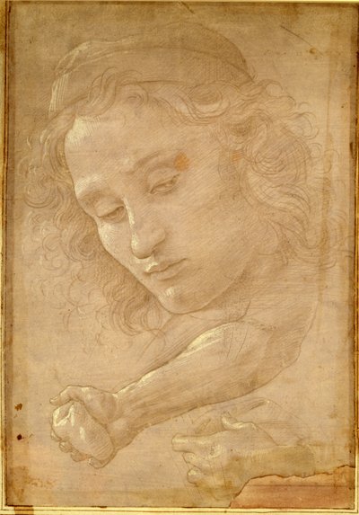 Cabeza de un joven, dibujo de una página de "Libro dei Desegni" de Giorgio Vasari de Unbekannt