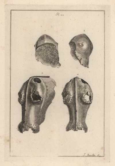 Casco 1,2, y chanfrón de hierro 3,4 que pertenecieron a Guy, Conde de Warwick de Unbekannt