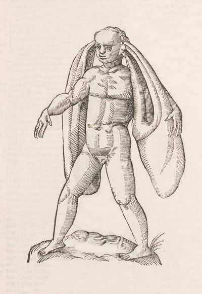 Homo fanesius auritus de Unbekannt