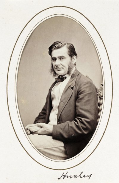 Huxley, c. 1865 de Unbekannt