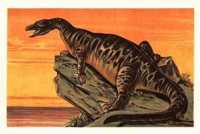 Iguanodon bernissartensis, especie extinta de dino iguanodontiano1908 (litografía) de Unbekannter Künstler