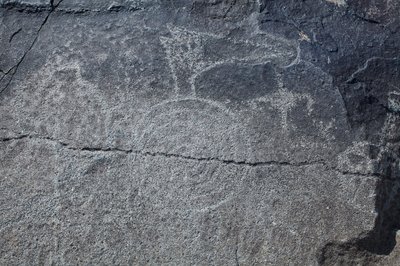 Petroglifos indios - Representación animal y simbólica - Monumento Nacional de Petroglifos - Albuquerque, Nuevo México, EE.UU. (EE.UU.) de William M. Timlin