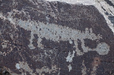 Petroglifos indios representando animales - Monumento Nacional de Petroglifos - Albuquerque, Nuevo México, EE.UU. (EE.UU.) de William M. Timlin