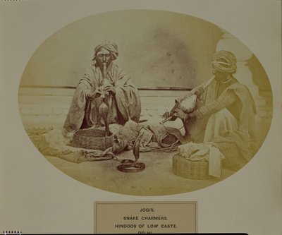 Jogis o encantadores de serpientes, hindúes de casta baja de Delhi, no. 205 de 