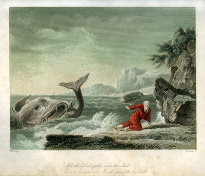 Jonás y la ballena - Biblia de Unbekannter Künstler