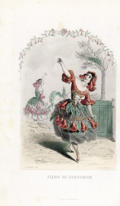 La fee de la fleur de grenade danse - Aguafuerte de Charles Geoffroy (1819-1882), basado en una ilustración de Jean Ignace Isidore Gerard dit J.J.J.Granville (1803-1847), para Les fleurs animees. de Unbekannter Künstler