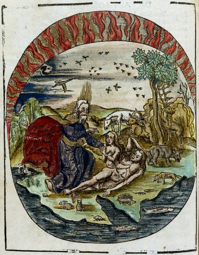 El nacimiento de Eva siglo XVI: Dios sacando a Eva del costado de Adán en el jardín del Edén de Unbekannt