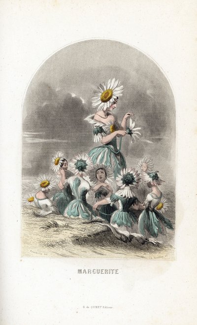 Les fees des daisies des pres, rematados con sombreros de flores, uno deja los pétalos de una margarita - Eau forte de Charles Geoffroy (1819-1882), según una ilustración de Jean Ignace Isidore Gerard dit J.J.Granville (1803-1847), para Les fleurs animees de Unbekannter Künstler