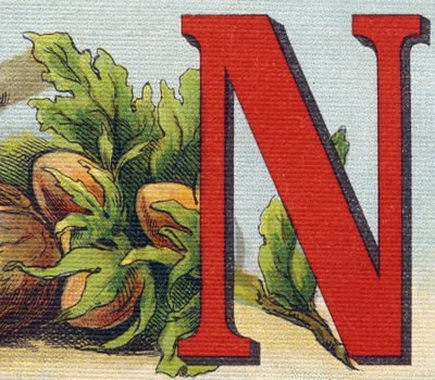 Letra N: avellanas. Grabado en "Alphabet de ma petite fille". Bernardin-Bechet y Fils, libreros-editores, París, alrededor de 1895. Álbum irrompible en lienzo. Bibliothèque des Bébés. 12 páginas. Álbum que contiene un método de lectura y un abecedario ilus de Unbekannt