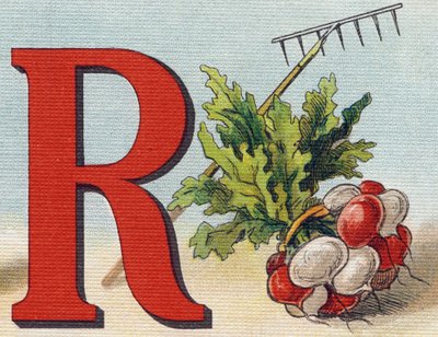 Letra R: rastrillo, rábano. Grabado en "Alphabet de ma petite fille". Bernardin-Bechet y Fils, libreros-editores, París, alrededor de 1895. Álbum irrompible en lienzo. Biblioteca de los bebés. 12 páginas. Álbum que contiene un método de lectura y un abeced de Unbekannt