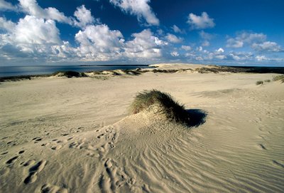 Lituania, Klaipeda, Istmo de Curlandia, Nida, dunas de arena móviles llamadas Sahara Prusiano de William M. Timlin