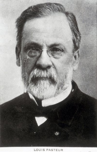 Louis Pasteur, químico y microbiólogo francés, c 1885 de Unbekannter Künstler