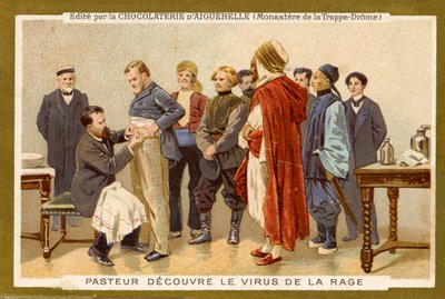 Louis Pasteur descubre el virus de la rabia de Unbekannter Künstler