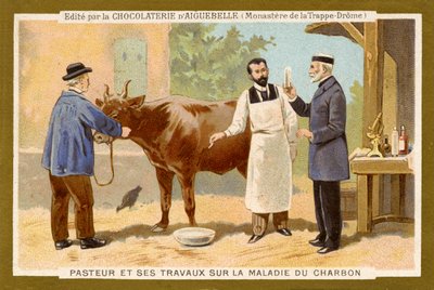 Louis Pasteur trabaja para encontrar una cura para el ántrax de Unbekannter Künstler