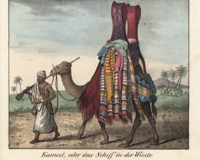 Hombre del norte de África, armado con un mosquete, conduciendo un camello cargado de mantas. Litografía para el libro: "Galerie complete en tableaux fideles des peuples d