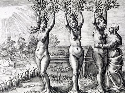 Mattei en las Metamorfosis de Ovidio de Unbekannter Künstler