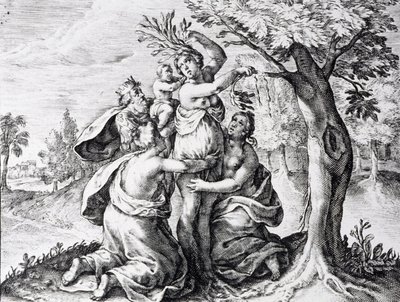 Mattei en las metamorfosis de Ovidio de Unbekannter Künstler