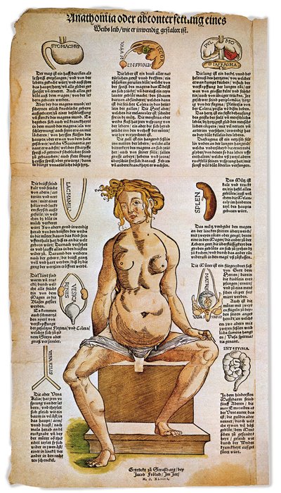 Medicina: tabla anatómica que describe la anatomía femenina a partir de un tratado médico renacentista. Alrededor de la figura de una mujer sentada se enumeran e ilustran órganos vitales como el hígado, los pulmones y el diafragma, el estómago y el aparato de Unbekannter Künstler