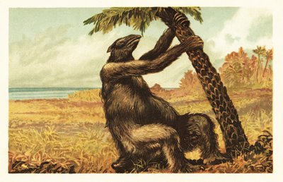 Megatherium americanum tirando de una palmera.1908 (litografía) de Unbekannter Künstler