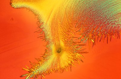 Micrografías (luz) Silicato de sodio, micrografía de luz de Unbekannter Künstler