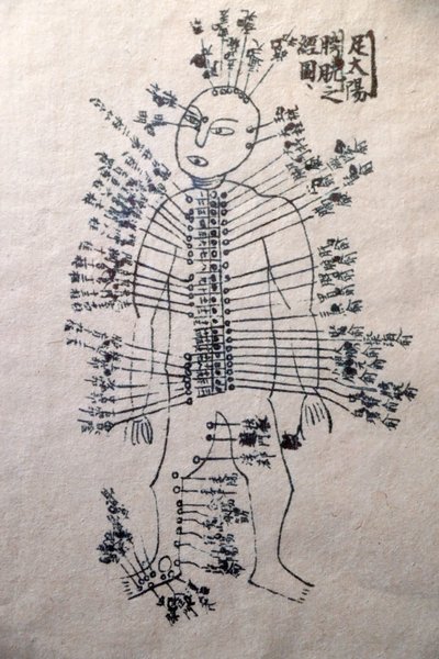 Museo de Medicina Tradicional Vietnamita, Los canales y vasos, Libro de acupuntura, Ciudad Ho Chi Minh, Vietnam de Unbekannt