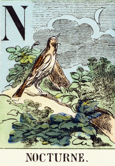 N: Nocturno - El Alfabeto de la Caza, c.1890 (grabado) de Unbekannt