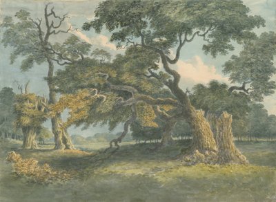 Needwood - Árbol de roble de Unbekannt