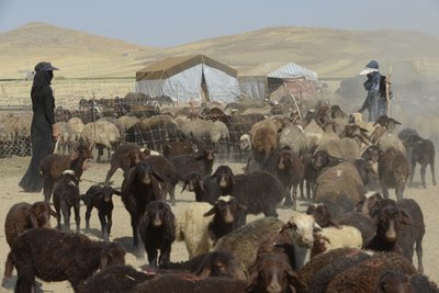 Tiendas nómadas entre Tamar y Ashkhaneh, Irán 2022 (fotografía) de Unbekannter Künstler