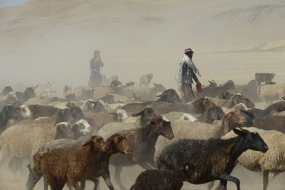 Tiendas nómadas entre Tamar y Ashkhaneh, Irán 2022 (fotografía) de Unbekannter Künstler