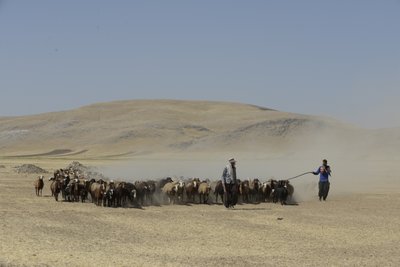 Tiendas nómadas entre Tamar y Ashkhaneh, Irán 2022 (fotografía) de Unbekannter Künstler