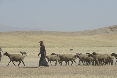 Tiendas nómadas entre Tamar y Ashkhaneh, Irán 2022 (fotografía) de Unbekannter Künstler