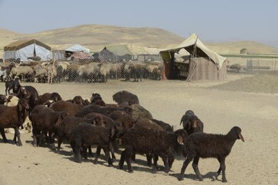 Tiendas nómadas entre Tamar y Ashkhaneh, Irán 2022 (fotografía) de Unbekannter Künstler