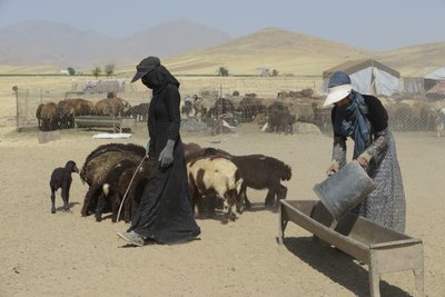 Tiendas nómadas entre Tamar y Ashkhaneh, Irán 2022 (fotografía) de Unbekannter Künstler