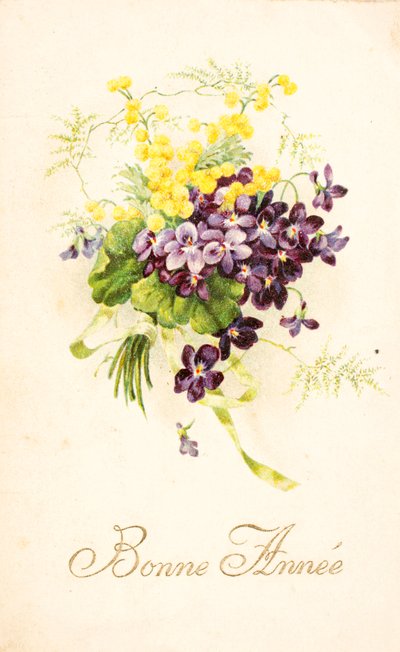 Tarjeta postal antigua/Violeta y Mimosa de Unbekannt