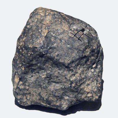 Condrita ordinaria (L/LL5). Caída en Ucrania en 1866. Museo Nacional de Historia Natural, París de Unbekannt