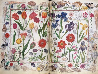 Páginas del Álbum Amicorum de Philipp Hainhofer, 1596-1633 de Unbekannt