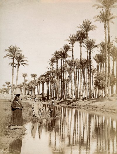 Palmeras junto al río Nilo. En primer plano, hombres con trajes tradicionales. de Unbekannter Künstler