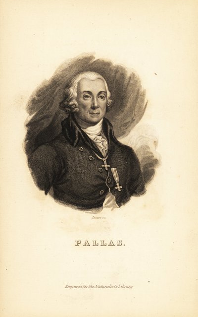 Peter Simon Pallas, explorador, zoólogo y botánico alemán de Unbekannt