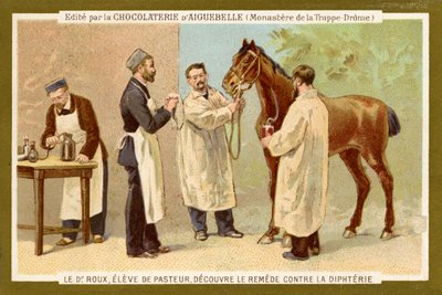 Pierre Paul Émile Roux de Unbekannter Künstler