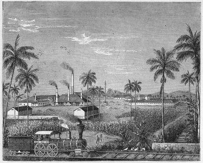 Plantación de caña de azúcar en Cuba, c.1880 (grabado) de Unbekannter Künstler