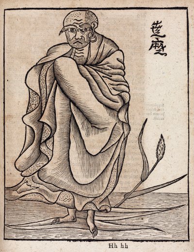 Retrato de Bodhidharma de Unbekannt